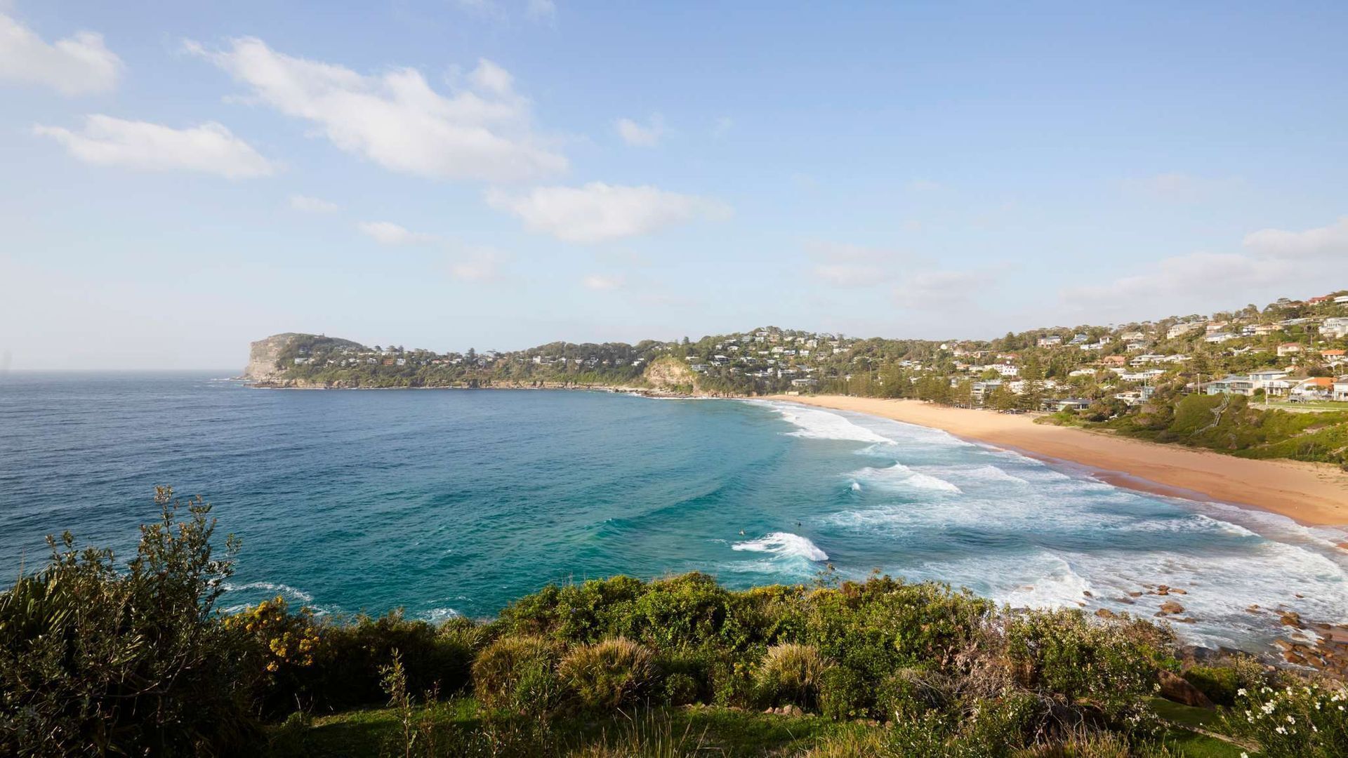 Whale Beach Bliss by Contemporary Hotels — image 25