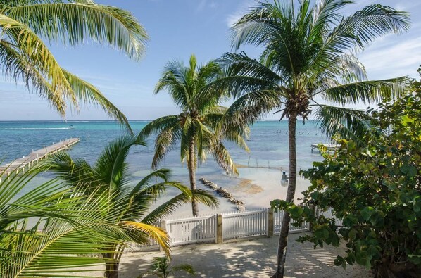 A beach view with palm trees, a wooden pier, and a white fence.