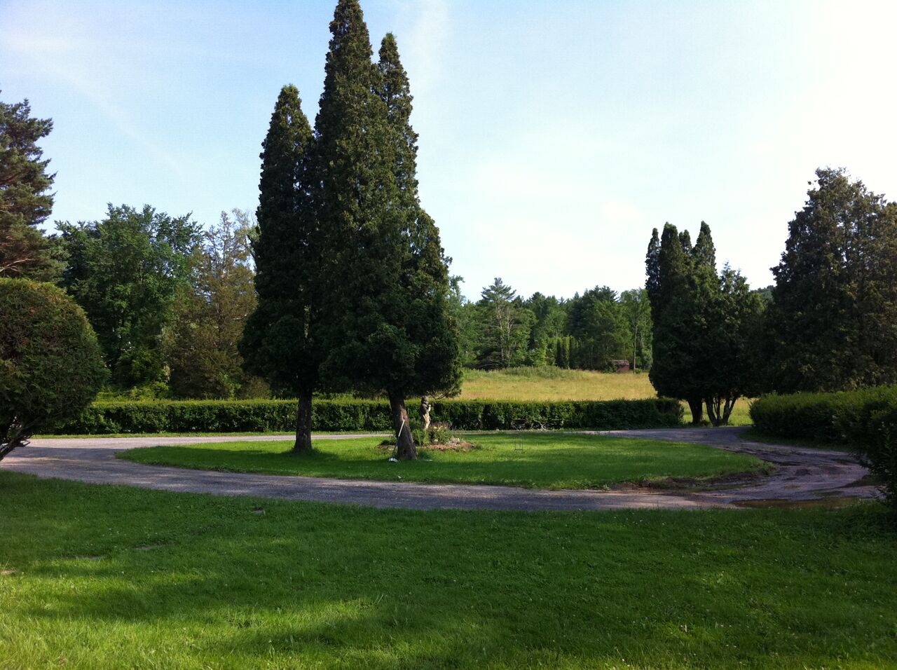 Ein gepflegter Park mit einer zentralen Rasenfläche, einem gewundenen Weg und hohen Bäumen.