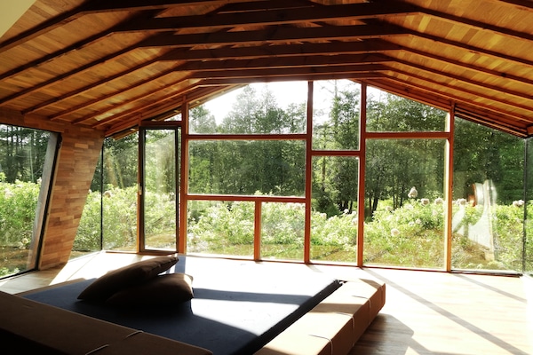 Pond view from the newly renovated 1930's Marsh artist studio building.