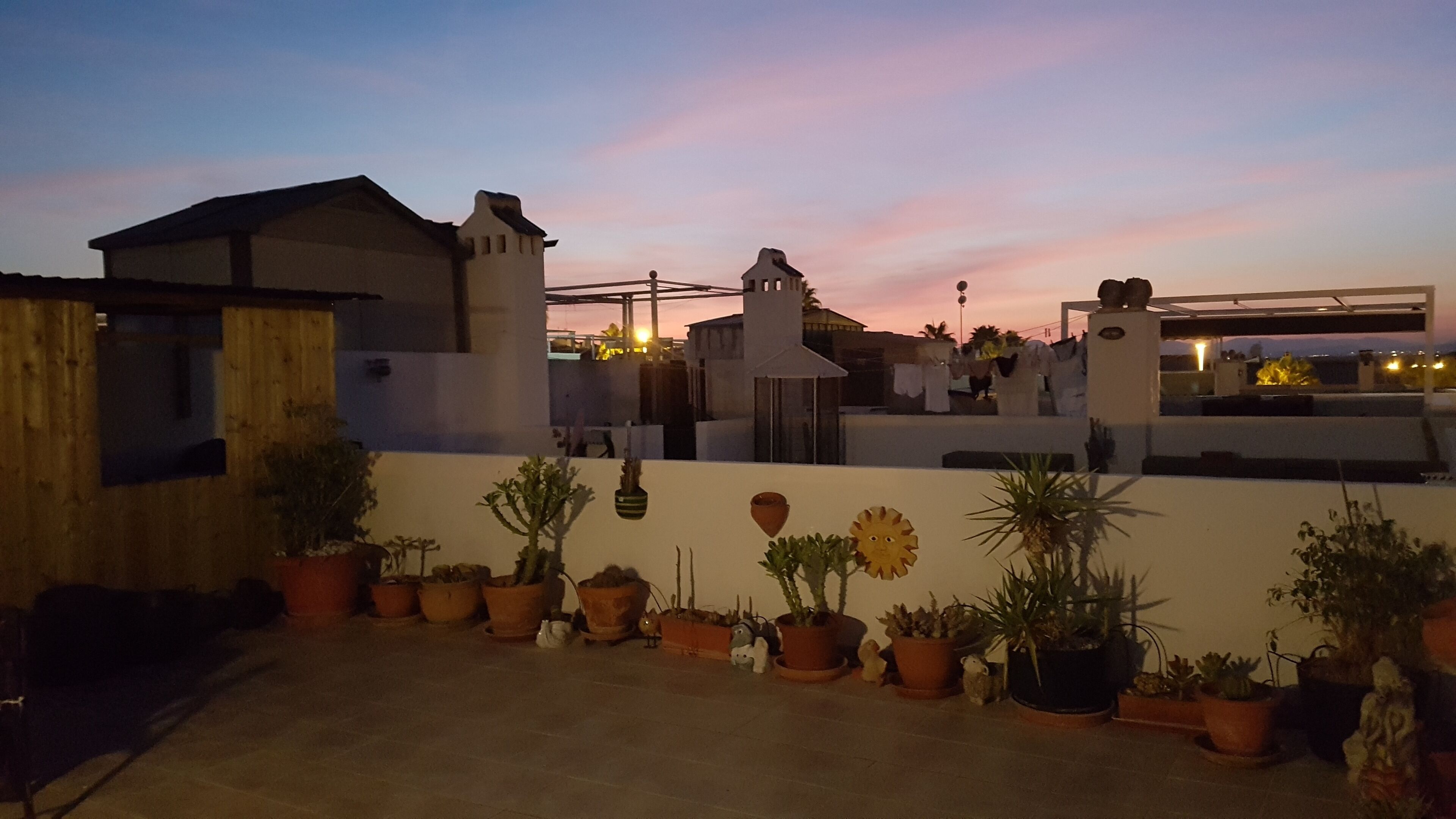 Terraza en la azotea con plantas en macetas y vistas al atardecer.