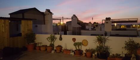 Terraza en la azotea con plantas en macetas y vistas al atardecer.