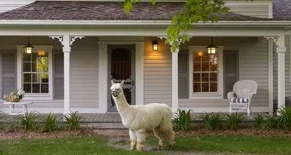 Farm Cottage on Alpaca Farm in Prince Edward County - Alpaca, Horses & more!