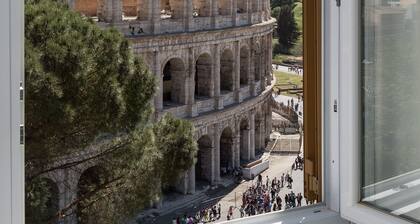 Amazing Colosseo