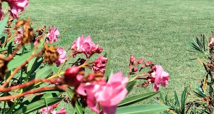 Agriturismo Il Pettirosso