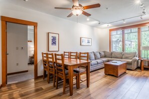 Télévision, cheminée, jeux vidéo, lecteur de DVD