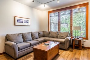 Télévision, cheminée, jeux vidéo, lecteur de DVD