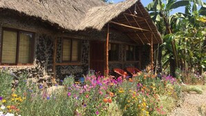 A rustic house with a thatched roof and stone walls, surrounded by a colorful garden.