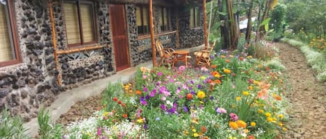 Family Room, Garden View | Garden view