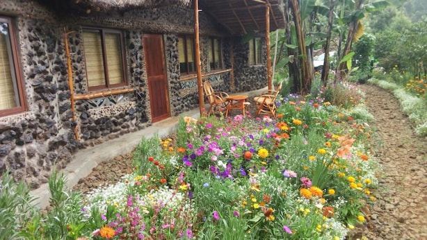 A rustic stone house with a thatched roof, a wooden porch, and a garden with colorful flowers.