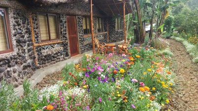 Mt. Kenya Riverside Retreat