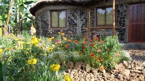 A rustic stone house with a thatched roof, surrounded by a colorful garden with various flowers and plants.