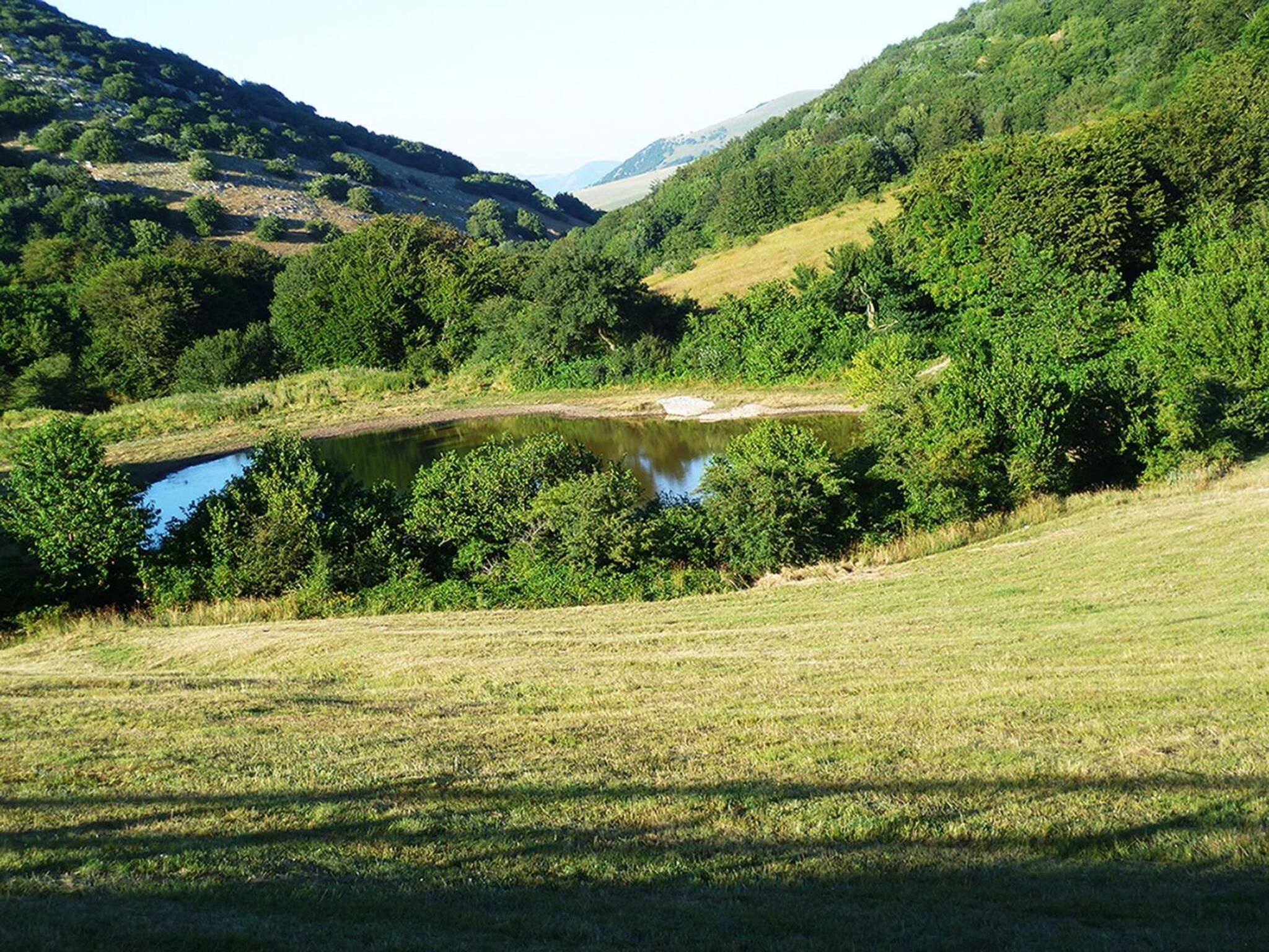Eine natürliche Landschaft mit einem See, umgeben von dichten Bäumen und grünen Wiesen.