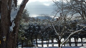 A snowy landscape with trees and a clear sky. - Blue Ridge Cottage Walking Distance to Downtown Waynesville (Waynesville)