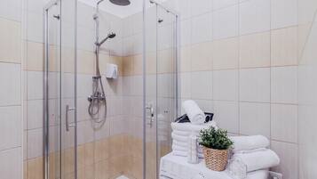 Standard Apartment | Bathroom shower