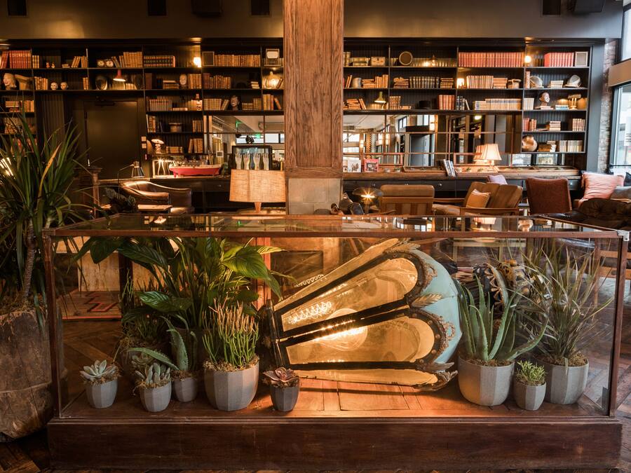 A spacious reading area with a large glass table surrounded by potted plants, a grand piano, and a comfortable seating arrangement.