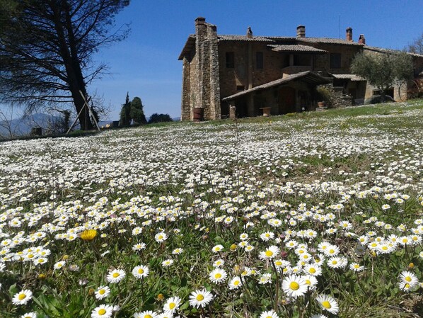 Facciata della struttura