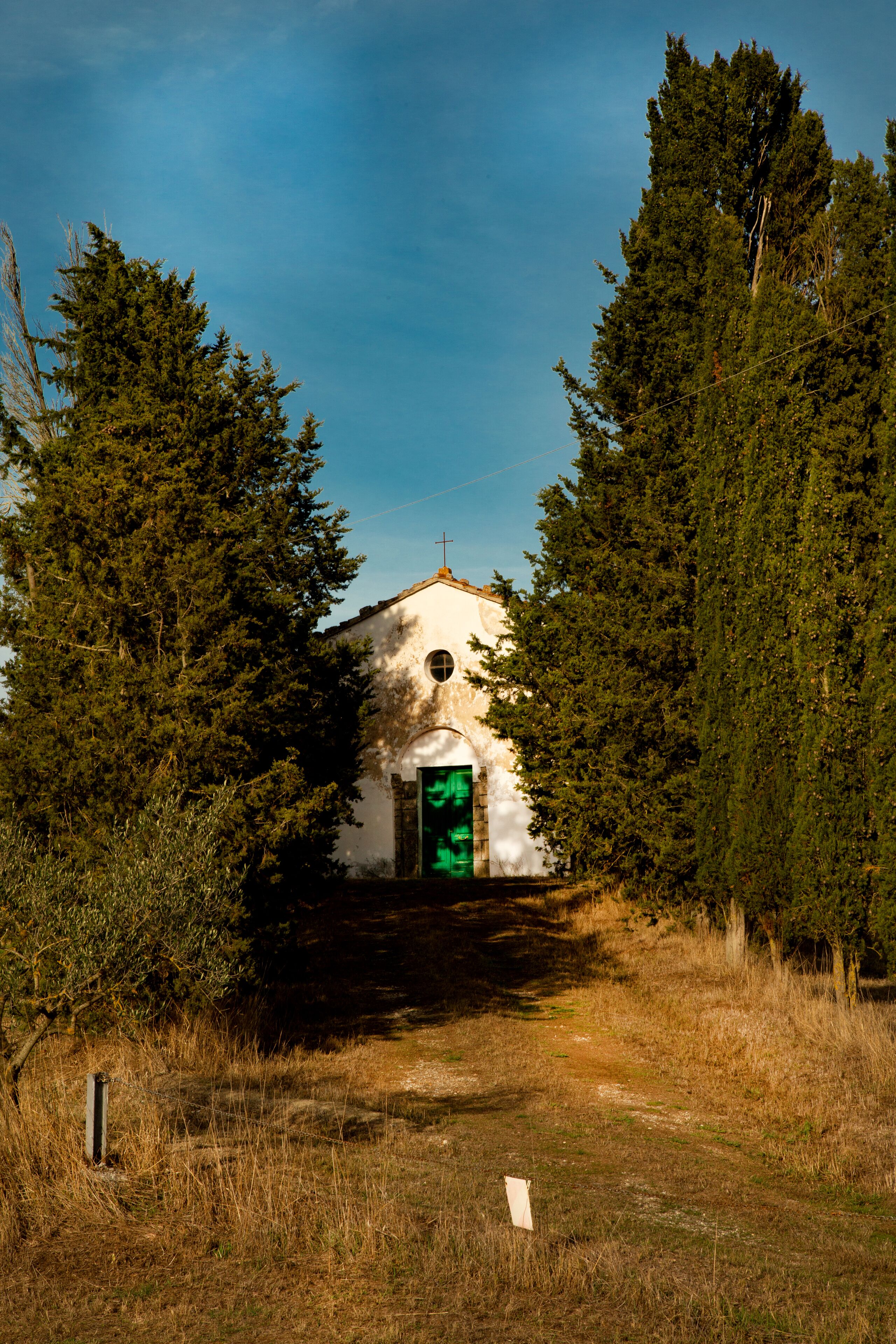 A small building with a green door, surrounded by trees.
