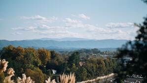 Eine Aussicht auf eine gebirgige Landschaft, durch die eine Straße ein bewaldetes Gebiet hindurchführt.