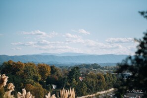 Unclassified image, 3 of 11, button