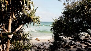 Une plage bordée de palmiers et de rochers.