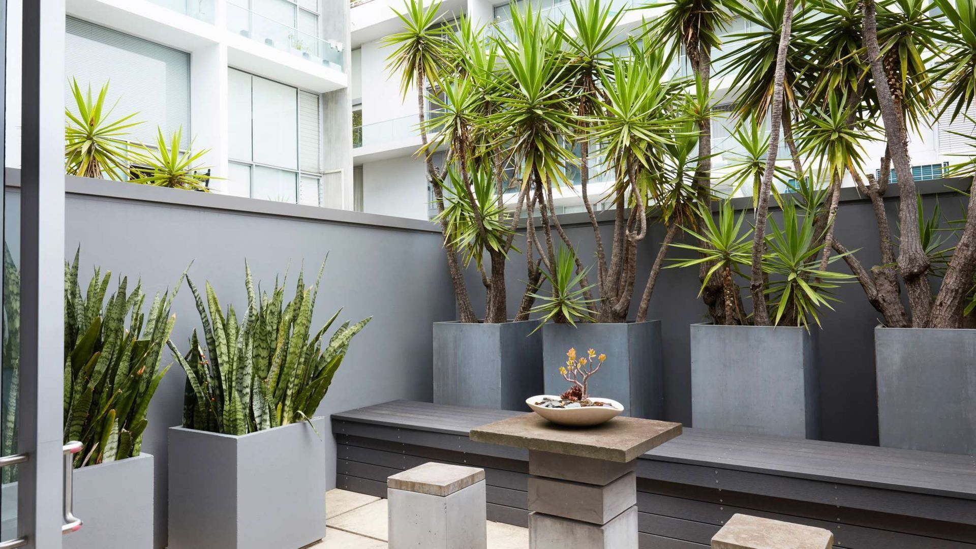 Apartment One by Contemporary Hotels is the quintessential glamorous Darlinghurst apartment for thos — image 10