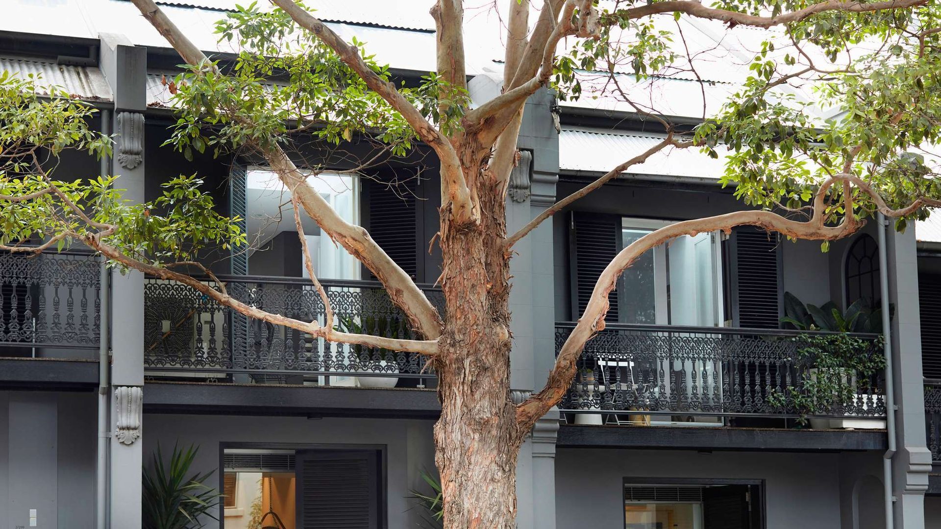 Apartment One by Contemporary Hotels is the quintessential glamorous Darlinghurst apartment for thos — image 15