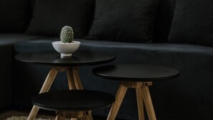 Una sala moderna con un sofá oscuro, dos mesas redondas negras y un pequeño cactus en un cuenco blanco.