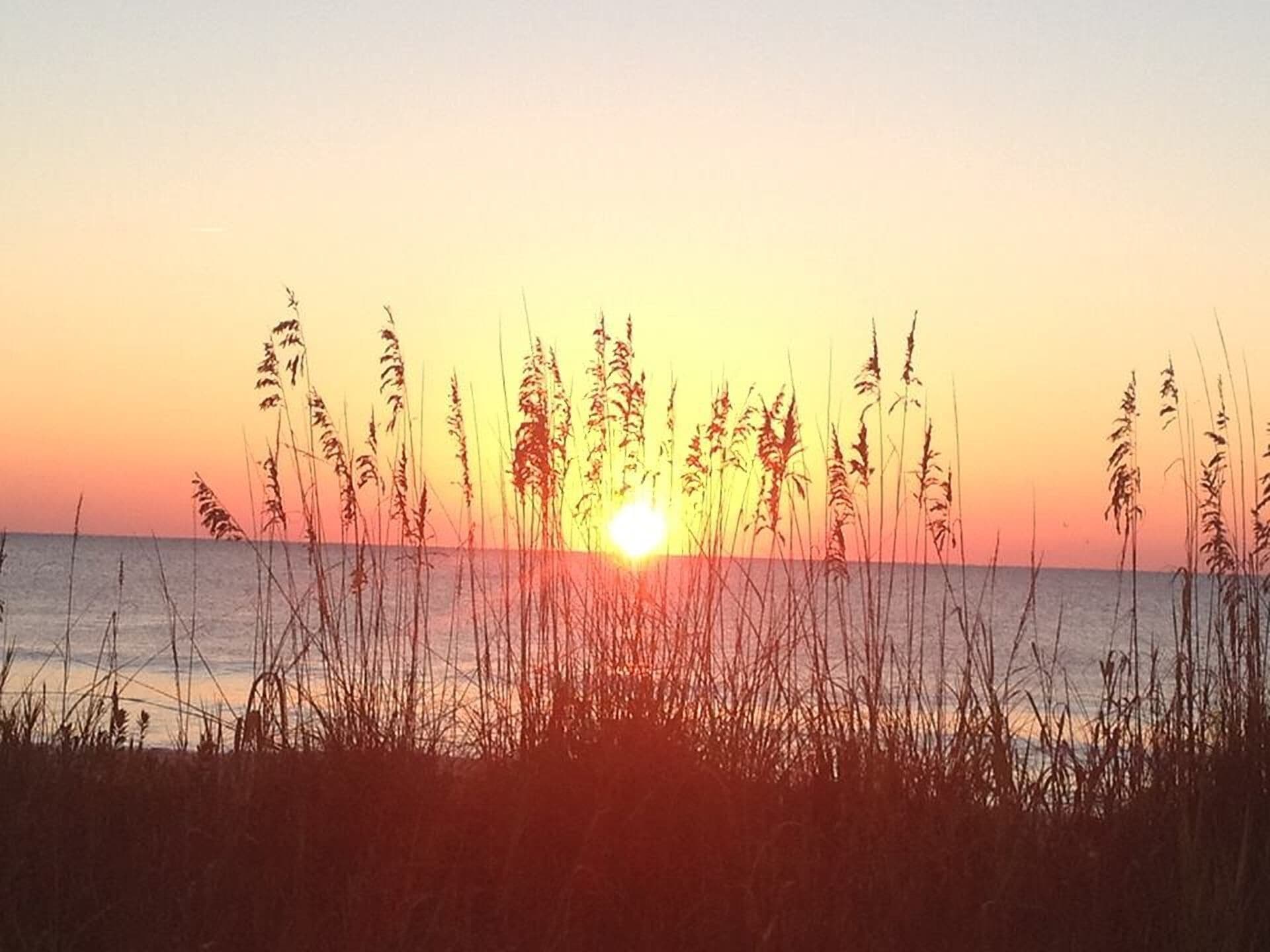 Beach Sunrise