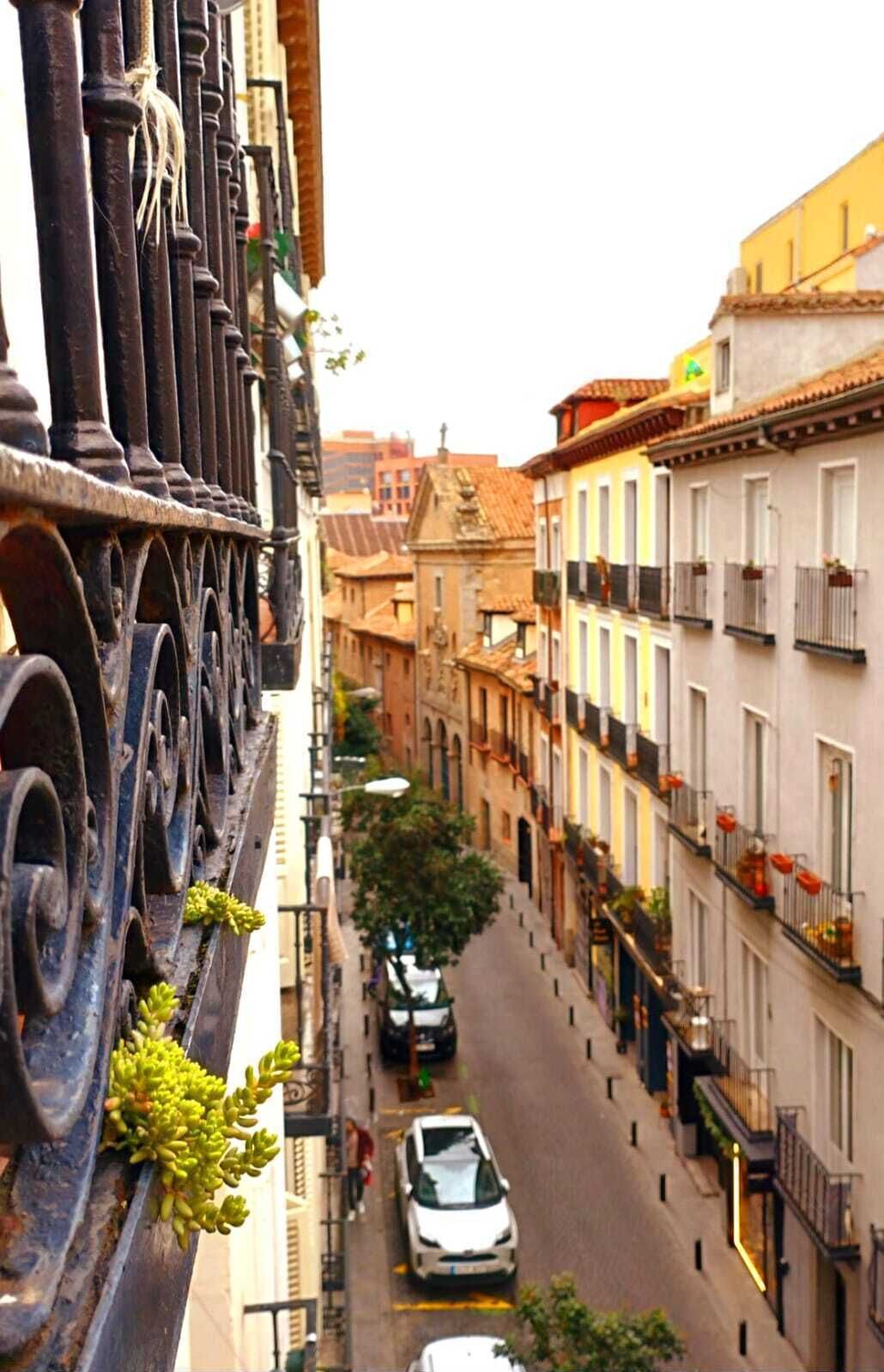 Foto - Hostal Artistic B&B