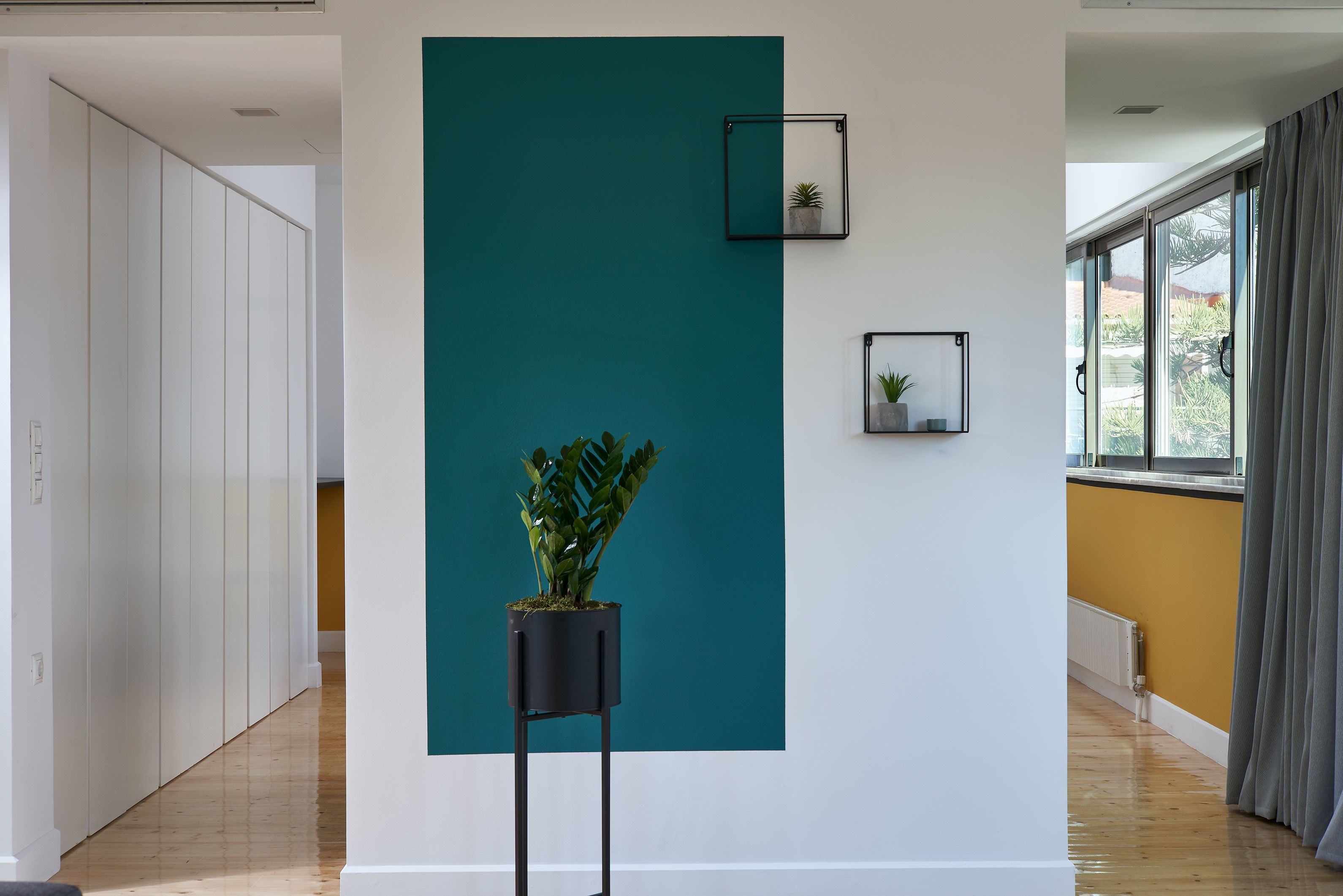 A modern interior with a teal accent wall, a potted plant, and a window with curtains.