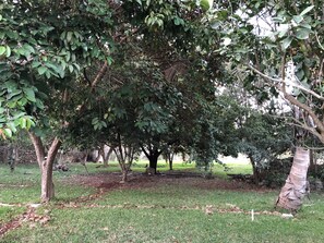 Property grounds - Quinta Las Carolinas (Umán)