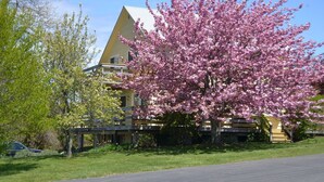 Exterior - Villa Montauk (Montauk)