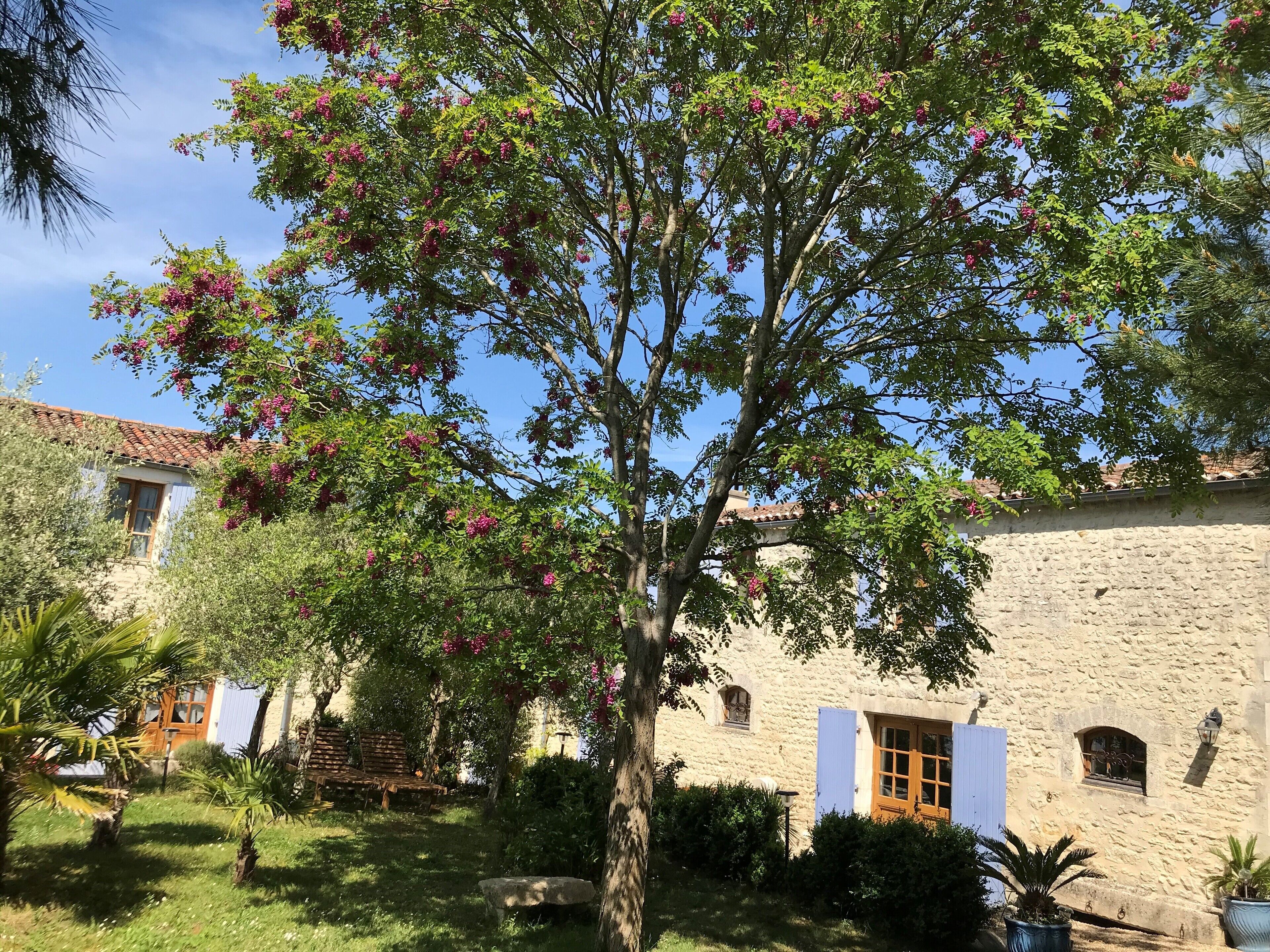 Un edificio de piedra con encanto rústico, rodeado de abundante vegetación y árboles en flor.