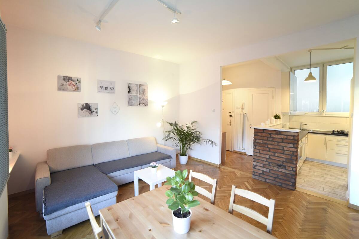 A modern living room with a sofa, a dining table with chairs, a potted plant, and a kitchen area with a brick island.