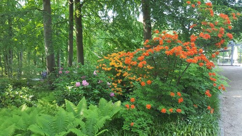 Pension Haus Waldheim