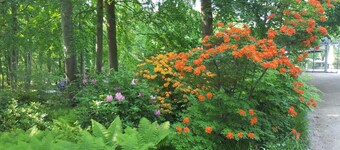 Pension Haus Waldheim