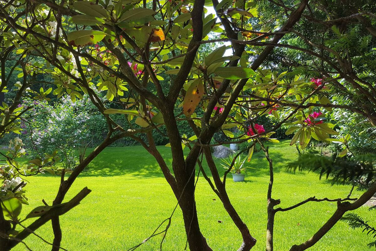 雙人房 | 花園景