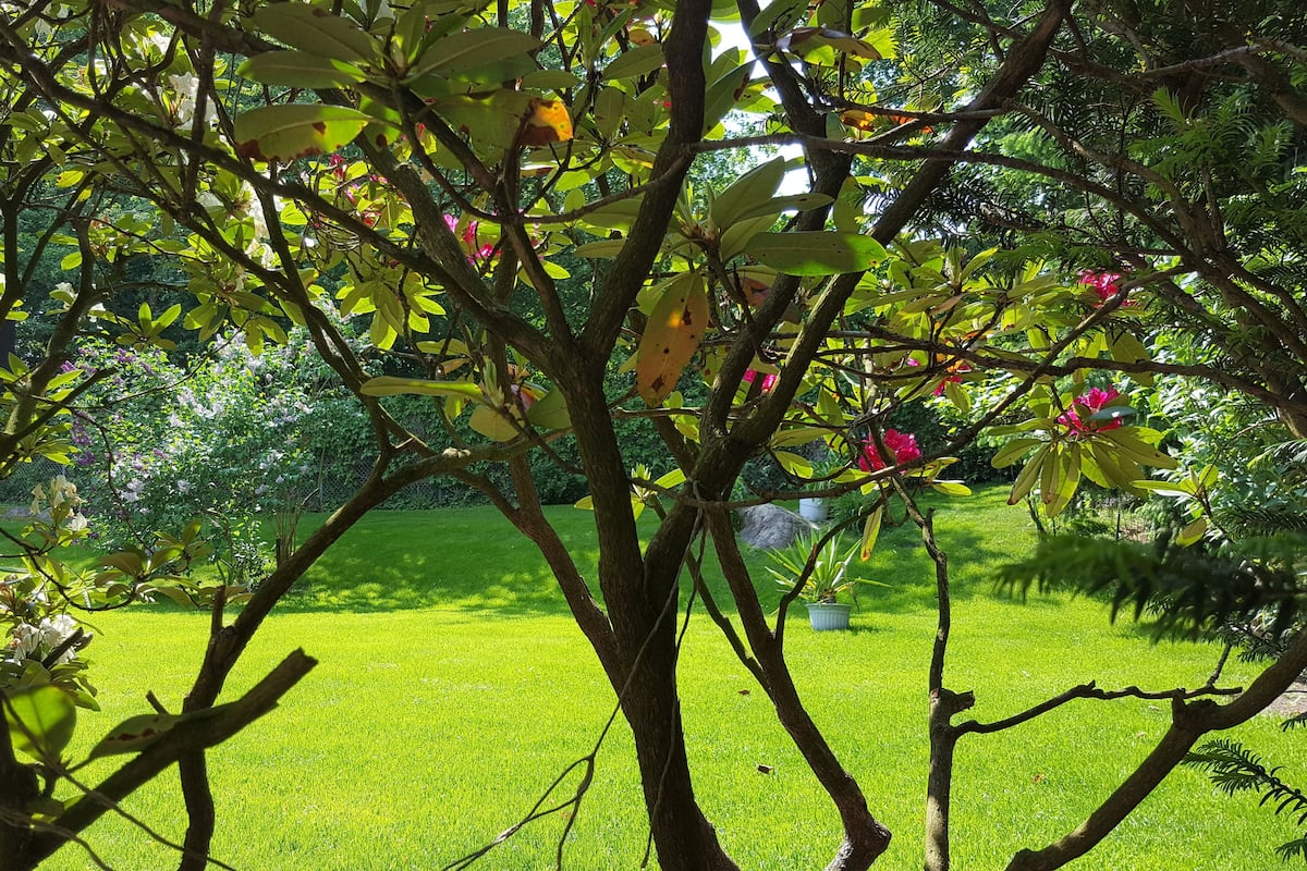 Double Room | Garden view