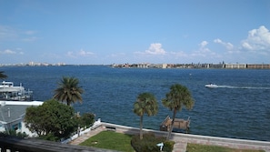 Muelle