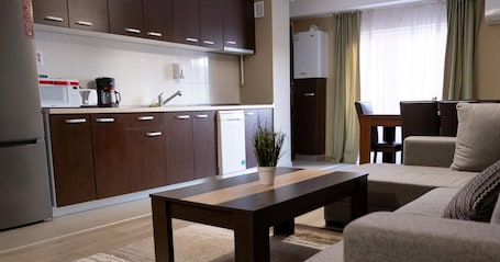 Basic Apartment, City View | Living room | Flat-screen TV