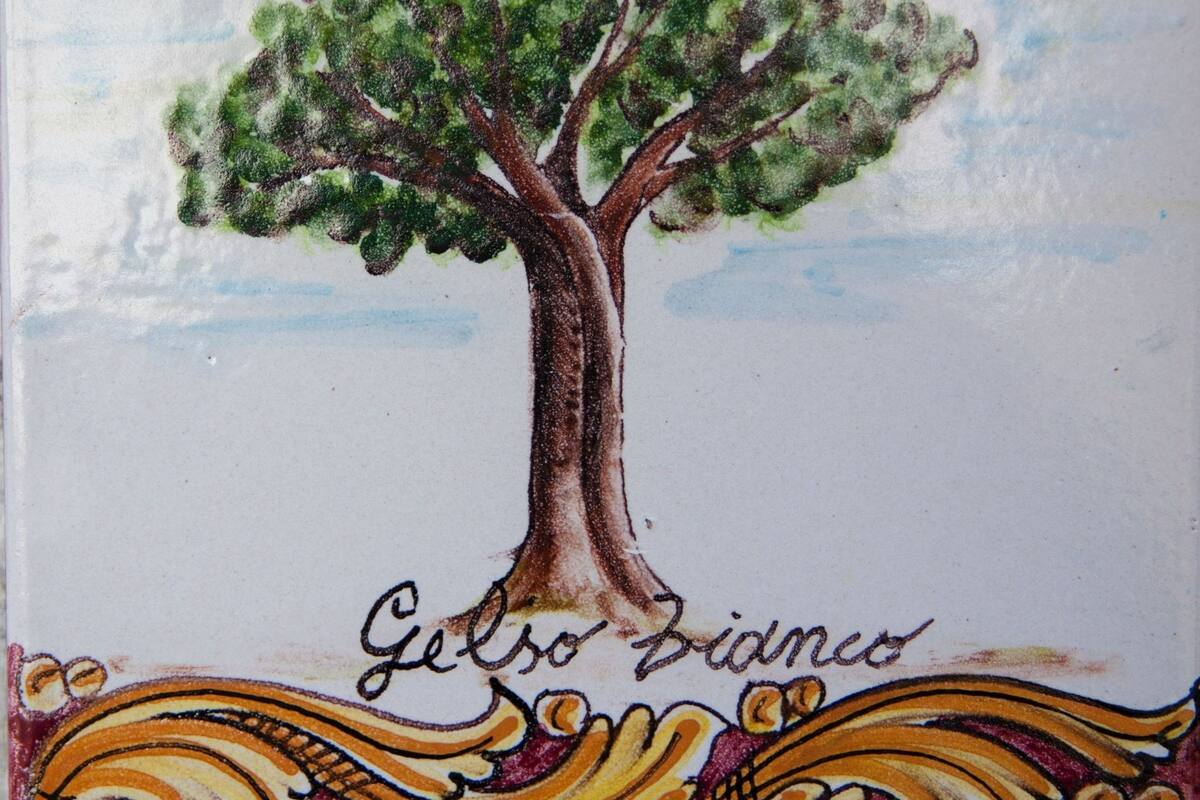 Piastrella con un albero e il testo “Get to know” in basso.