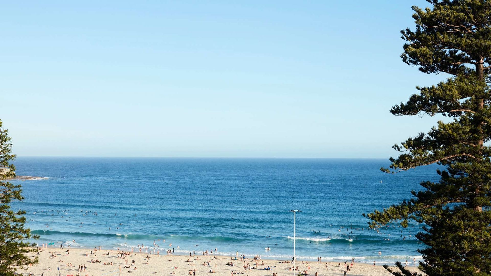 Bondi Chic by Contemporary Hotels — image 25