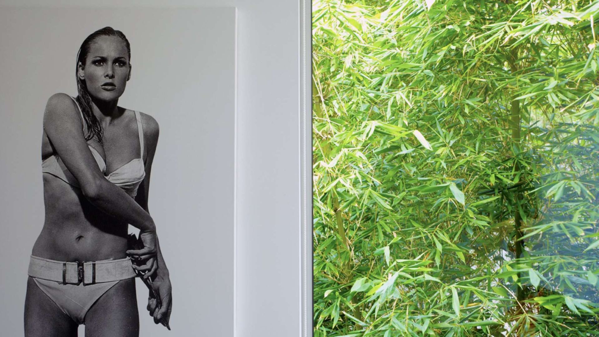 Apartment Two by Contemporary Hotels — image 3