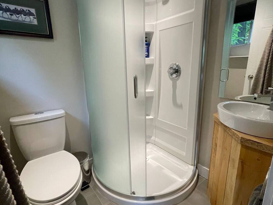 A modern bathroom with a glass-enclosed shower, a toilet, and a vanity with a mirror.