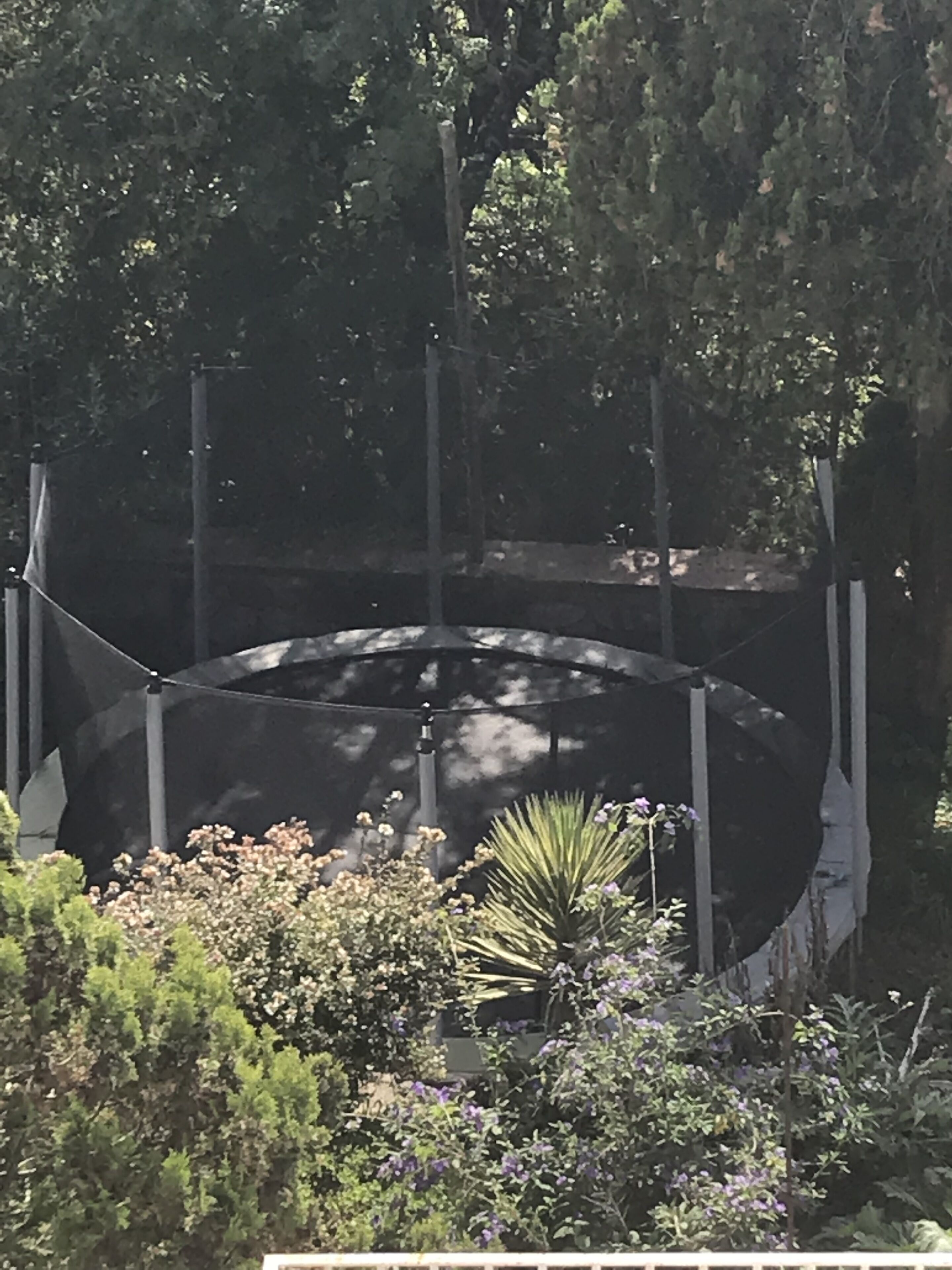 A fenced area with a circular enclosure, surrounded by dense foliage and various plants.