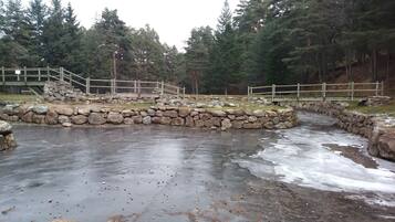 Jardines del alojamiento