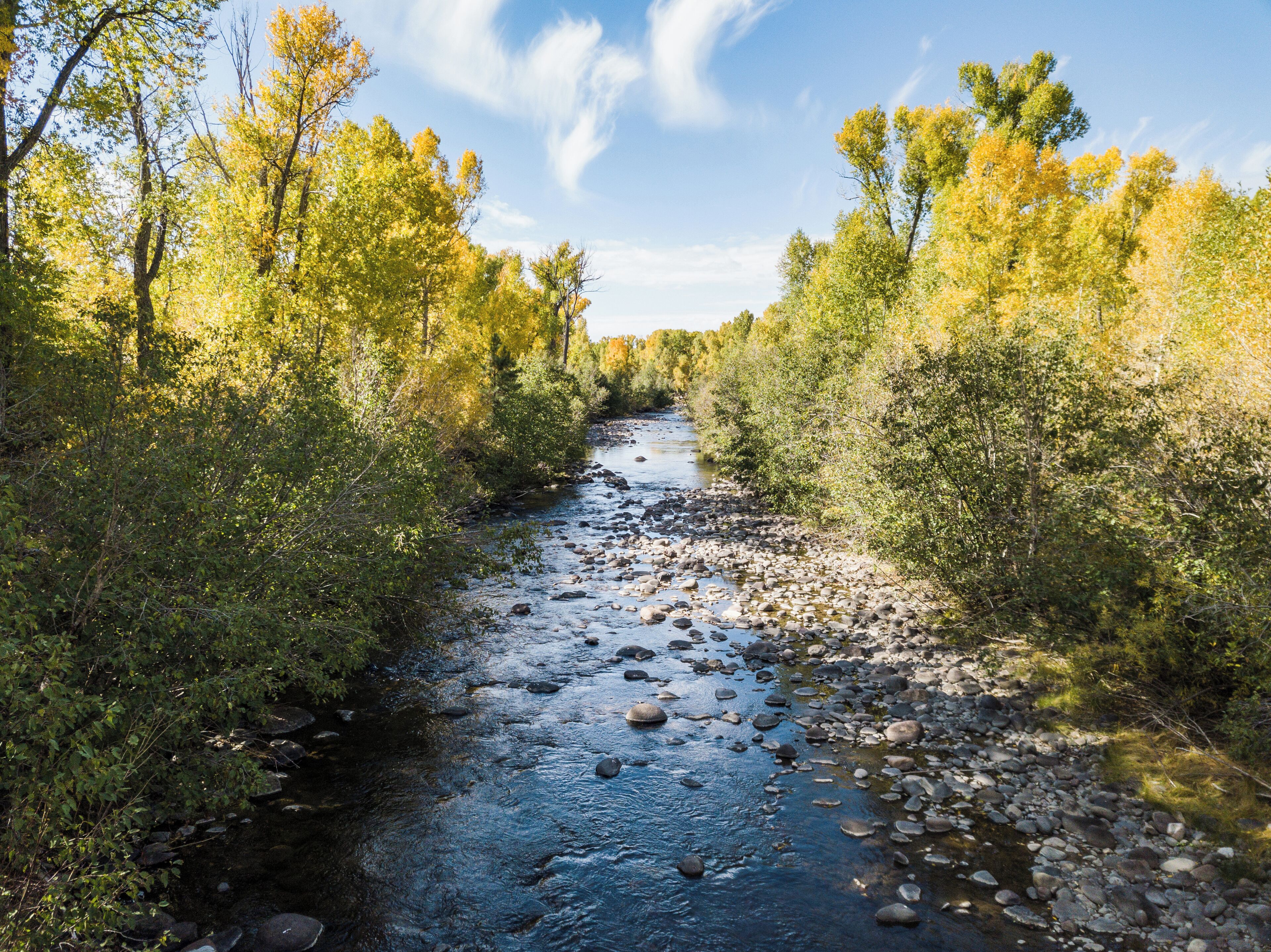 A river flowing through a forest with rocks and trees.