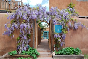 Une entrée en arc surmontée de glycines violettes, une porte bleue et un chemin de pierres.