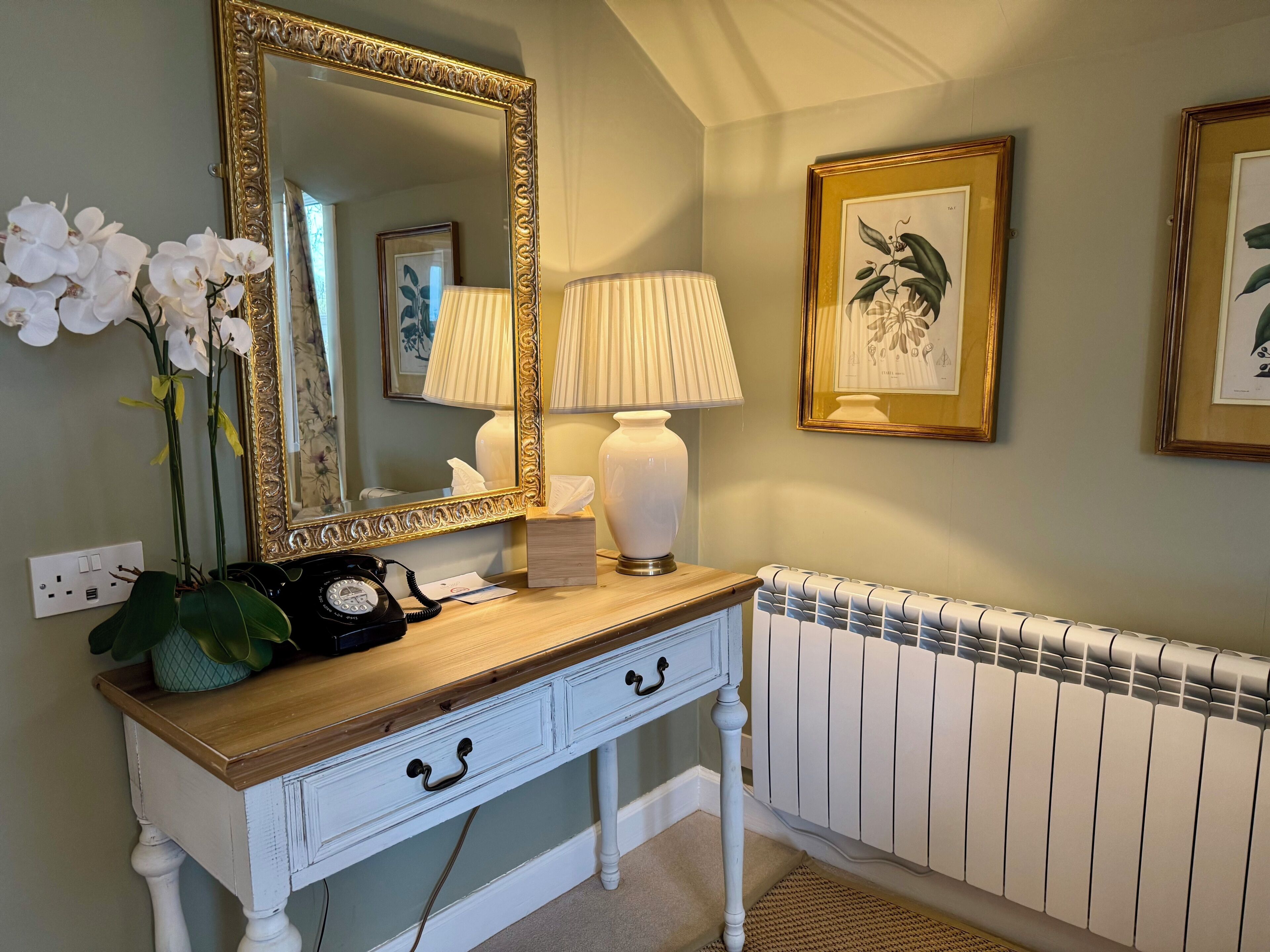 A bathroom with a vanity, a mirror, a lamp, a radiator, and framed botanical prints on the wall.